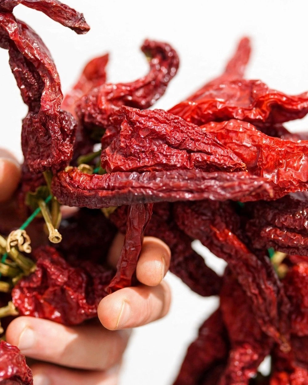 METHEA FOOD: PEPERONI SECCHI FRITTI - Scatola da 20 vasetti